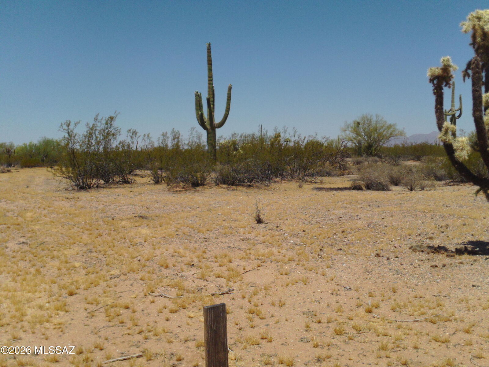 Property Photo:  E Hemlock Drive 15-Ac  AZ 85658 