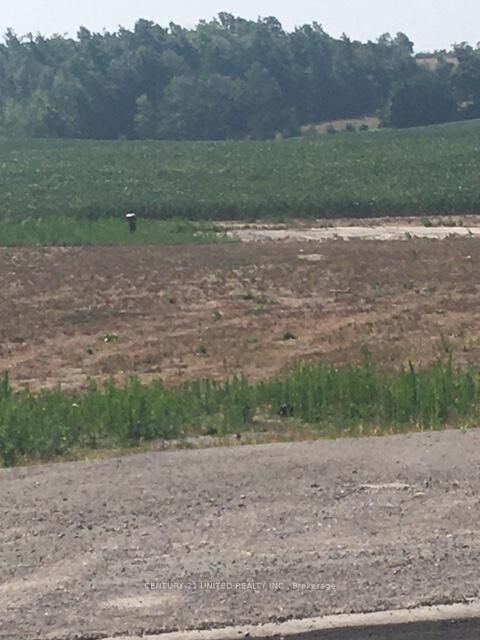 3151 County Rd 2 N/A — photo 1
