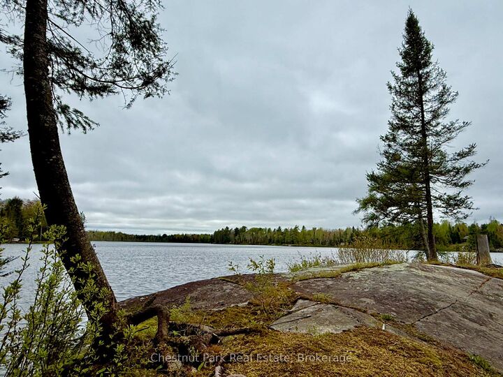 0 King Lake N/A — photo 1