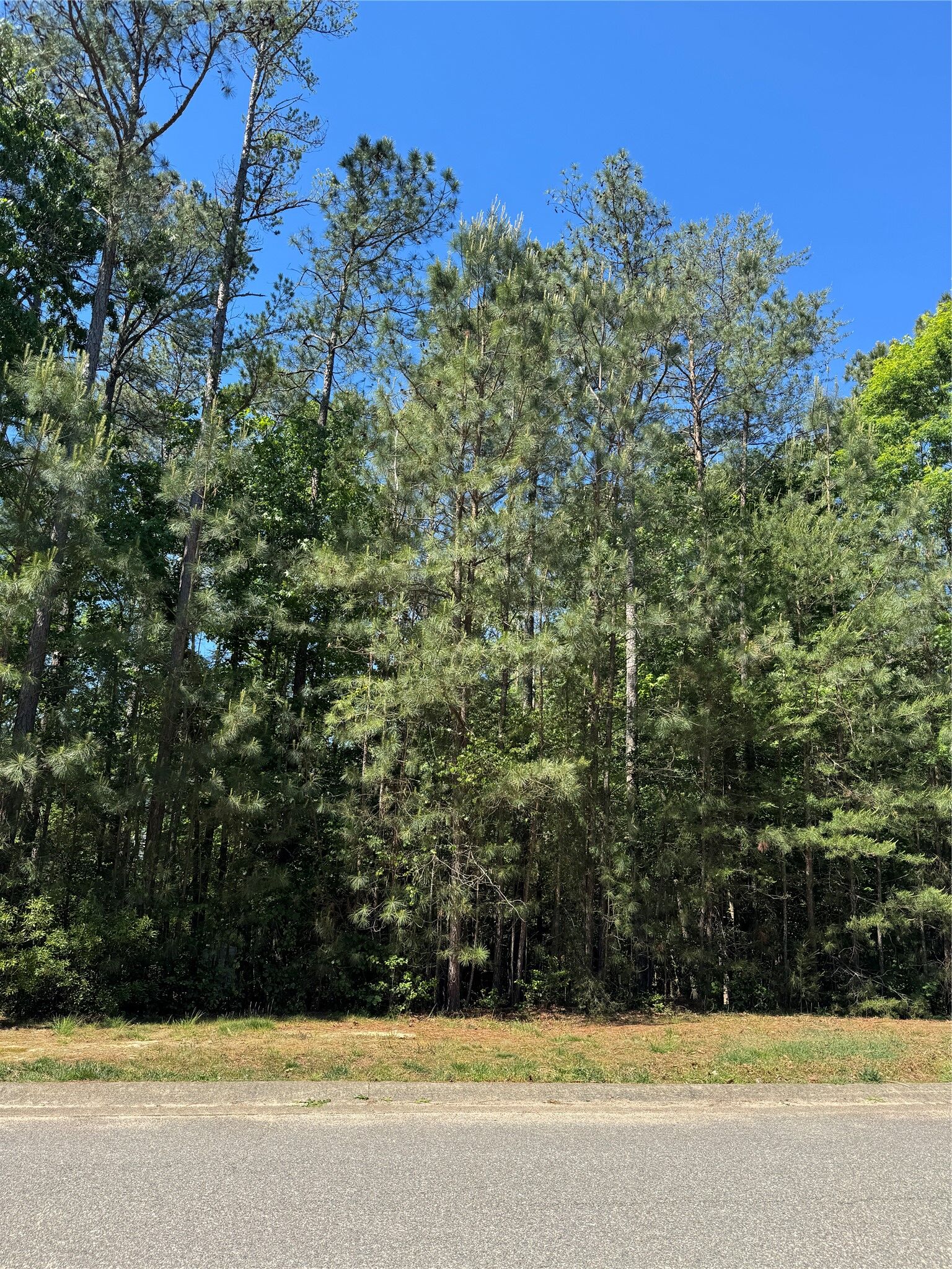 Property Photo:  5269 Linkshire Lane  VA 23140 