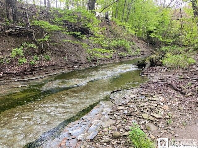 Property Photo:  Rt-5 Road  NY 14787 
