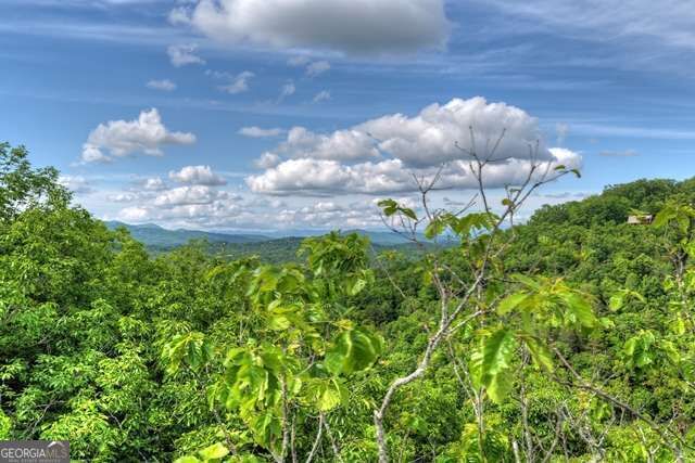 Property Photo:  28.4 Ac Black Dog Trail  GA 30513 