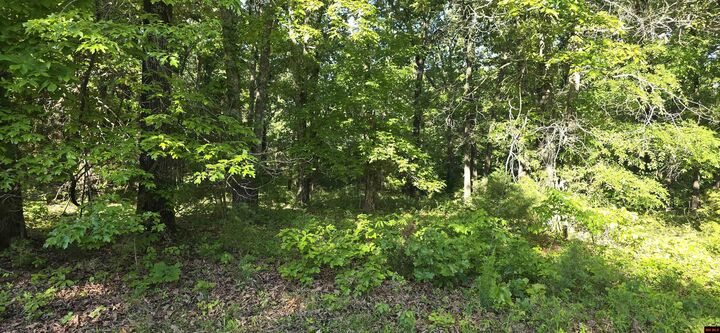 Property Photo:  Lot 25 Lakepointe Drive  AR 72634 