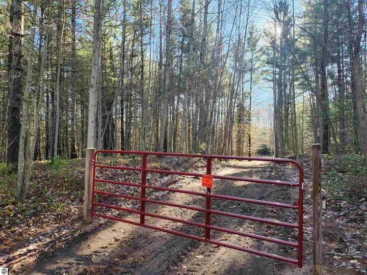 Property Photo: 00 Adams Road MI 49646