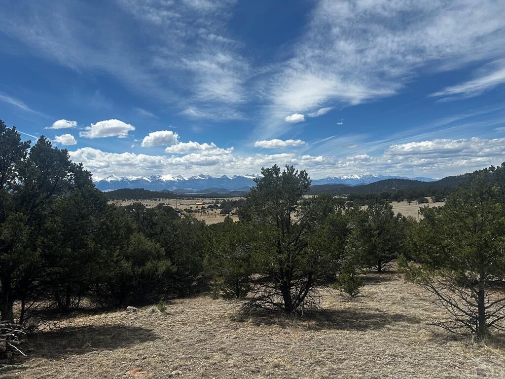Property Photo:  938 Shoshone Dr  CO 81212 