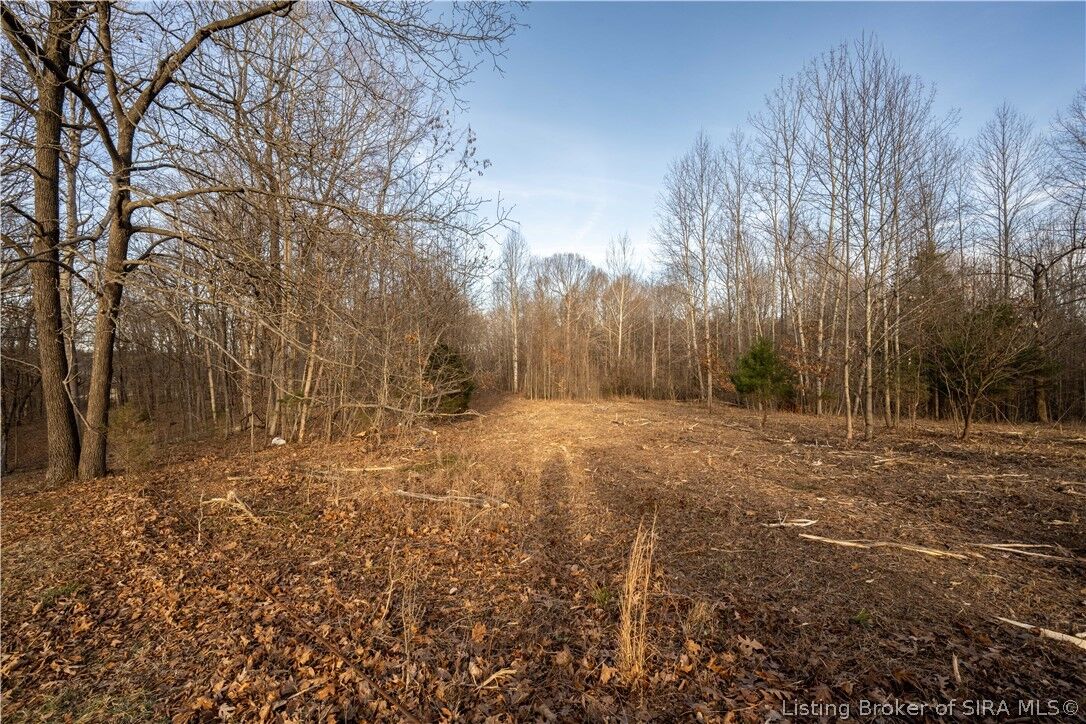 Property Photo:  Pine Shore Drive  IN 47117 