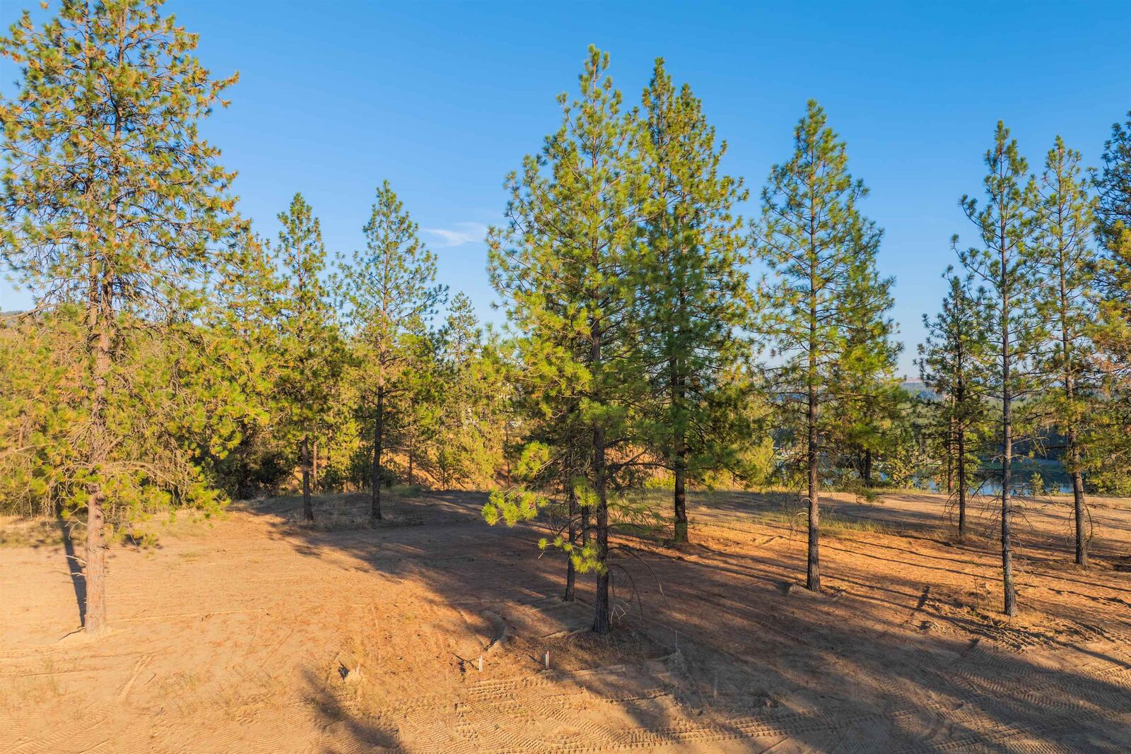 Property Photo:  Lot 27 Legacy Way  WA 99026 