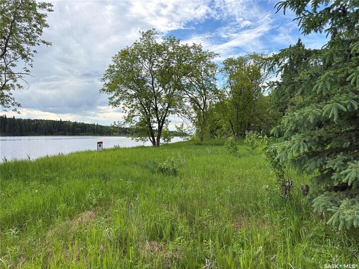 Property Photo:  338 Johnson Avenue  SK S0J 0E0 