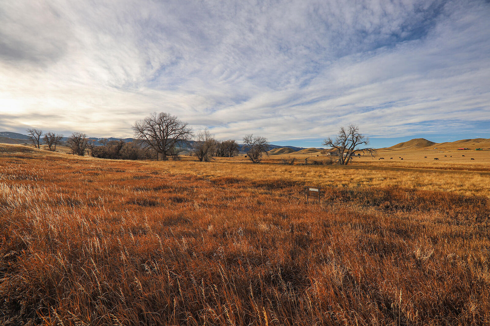 Property Photo:  68 High Camp Lane  WY 82834 
