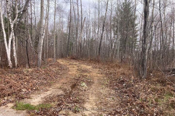 Property Photo:  8145 Highway 17 Highway E  ON P0H 2E0 