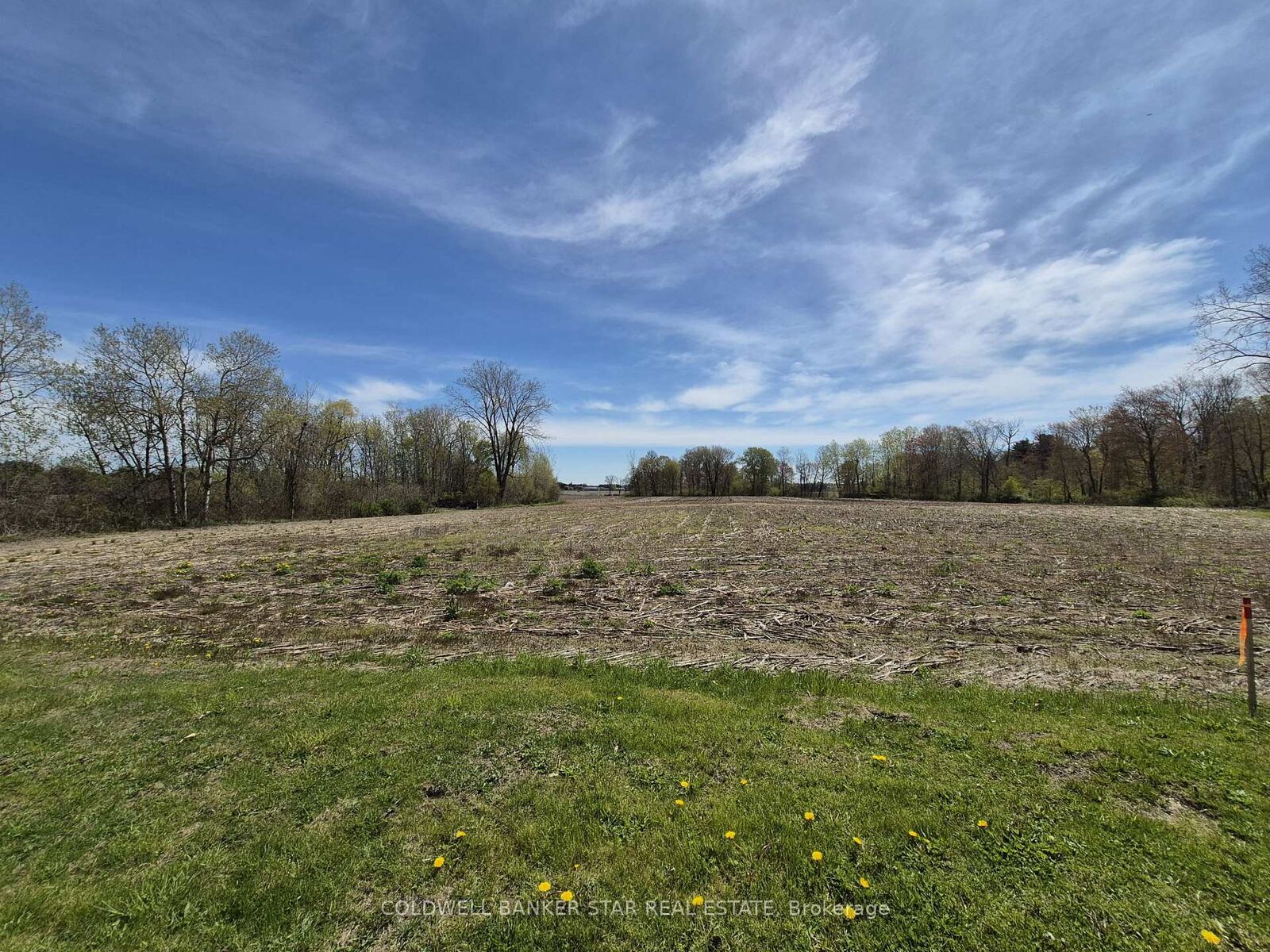 Property Photo:  4876 Imperial Road  ON N5H 2R2 