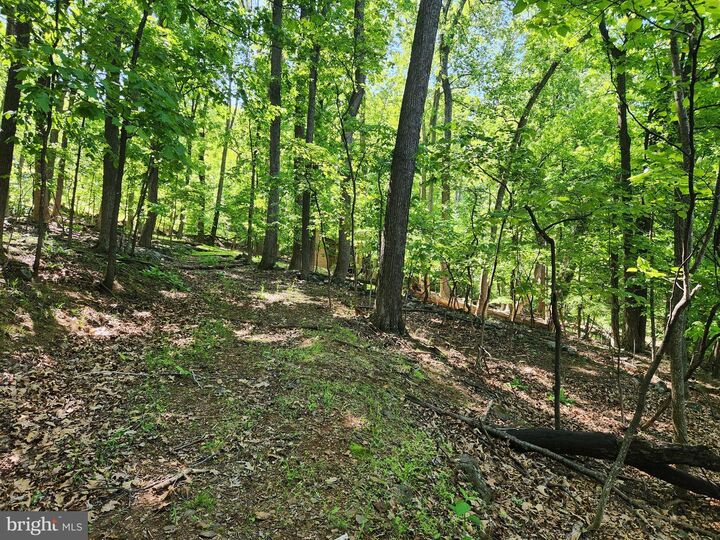 Property Photo: Cashmere Court VA 22642