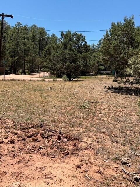 Property Photo:  Lot 46 Park Rd  AZ 85541 