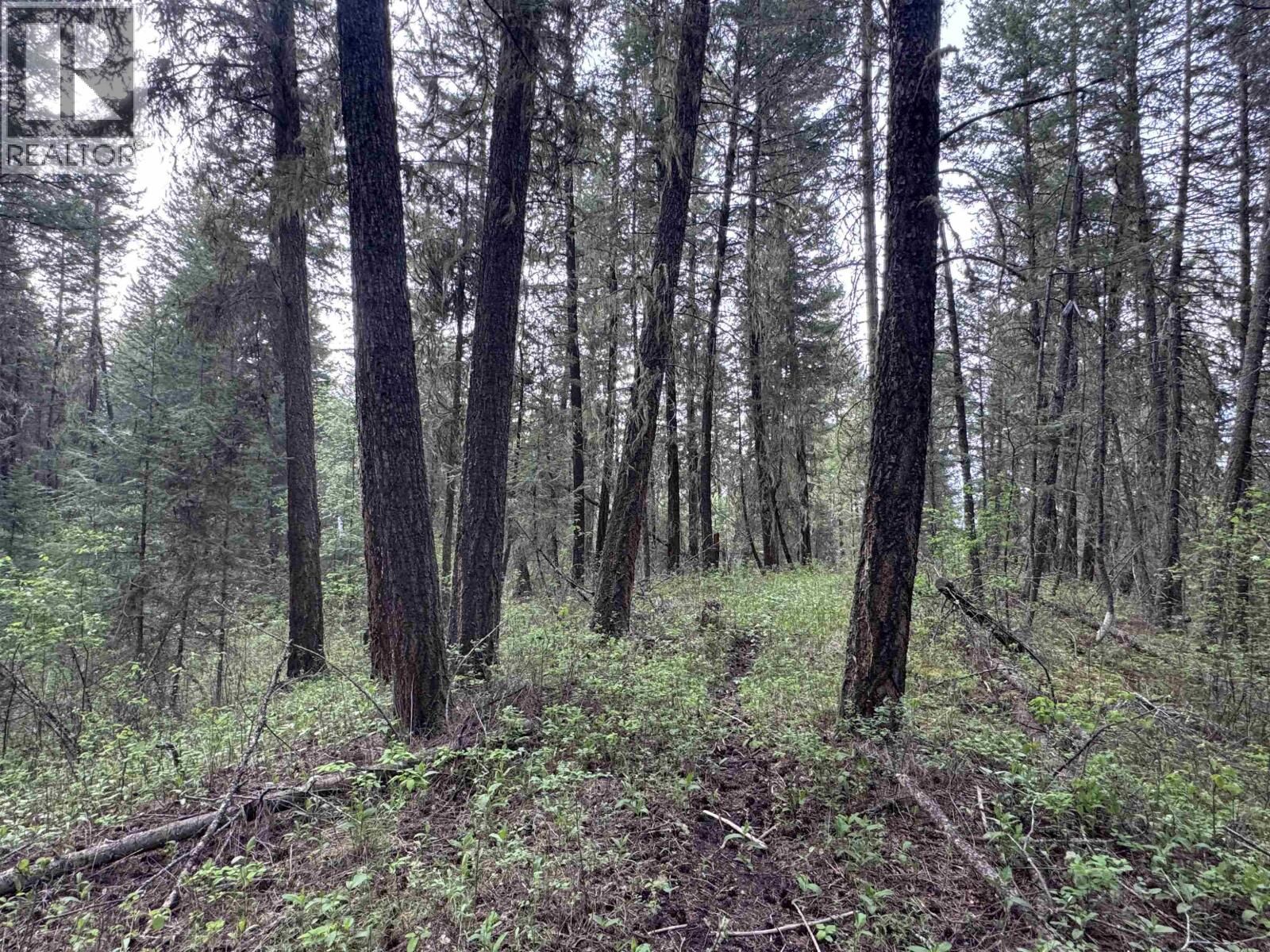 Property Photo:  550 Dog Creek Road  BC V2G 3P9 