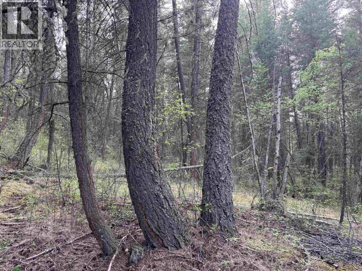 550 Dog Creek Road — photo 1