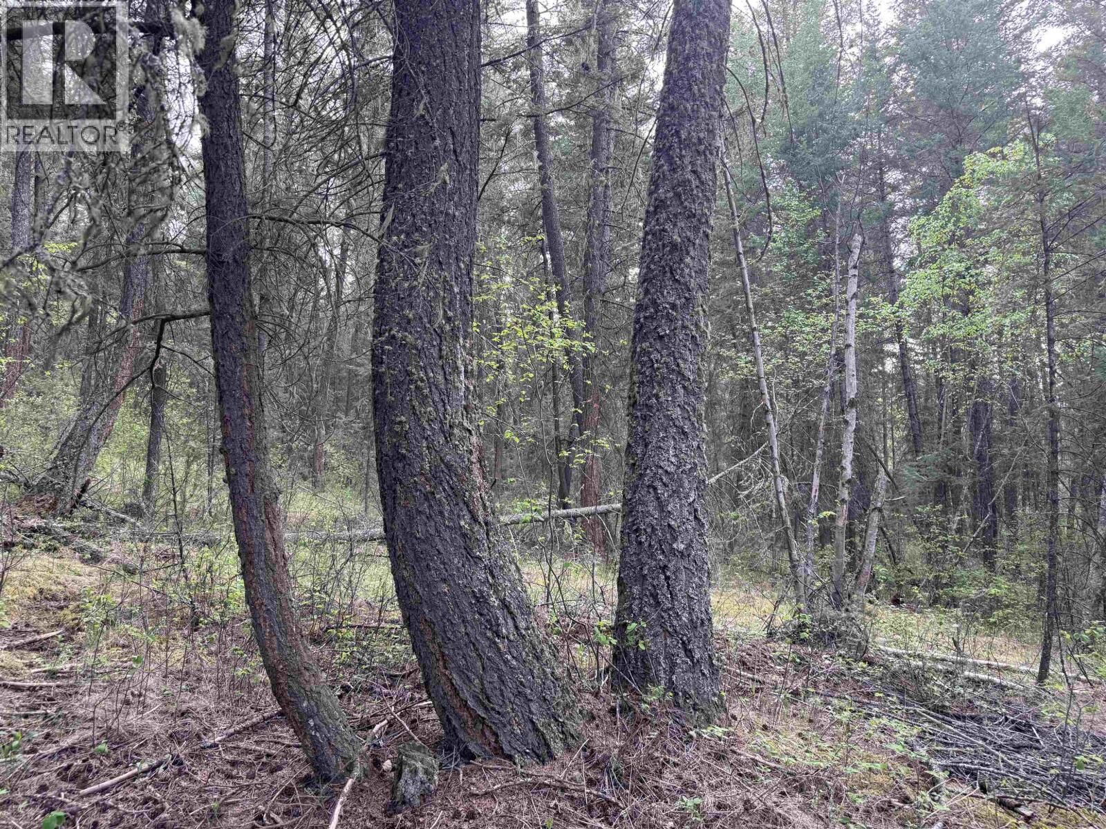 Property Photo:  550 Dog Creek Road  BC V2G 3P9 