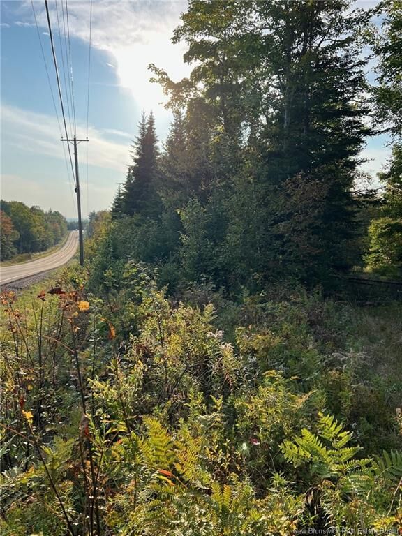 Lot 24-1 Route 3 — photo 1