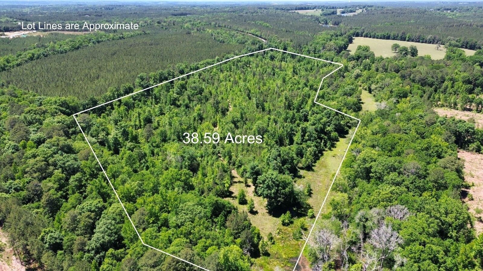 Property Photo:  38.59 Acres Leslie Mill Road  GA 30642 