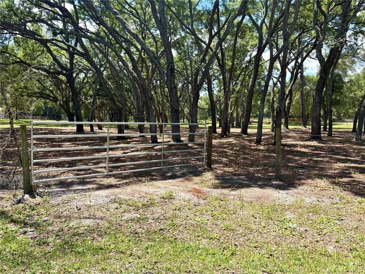 Property Photo:  390 Foothill Farms Road  FL 32763 