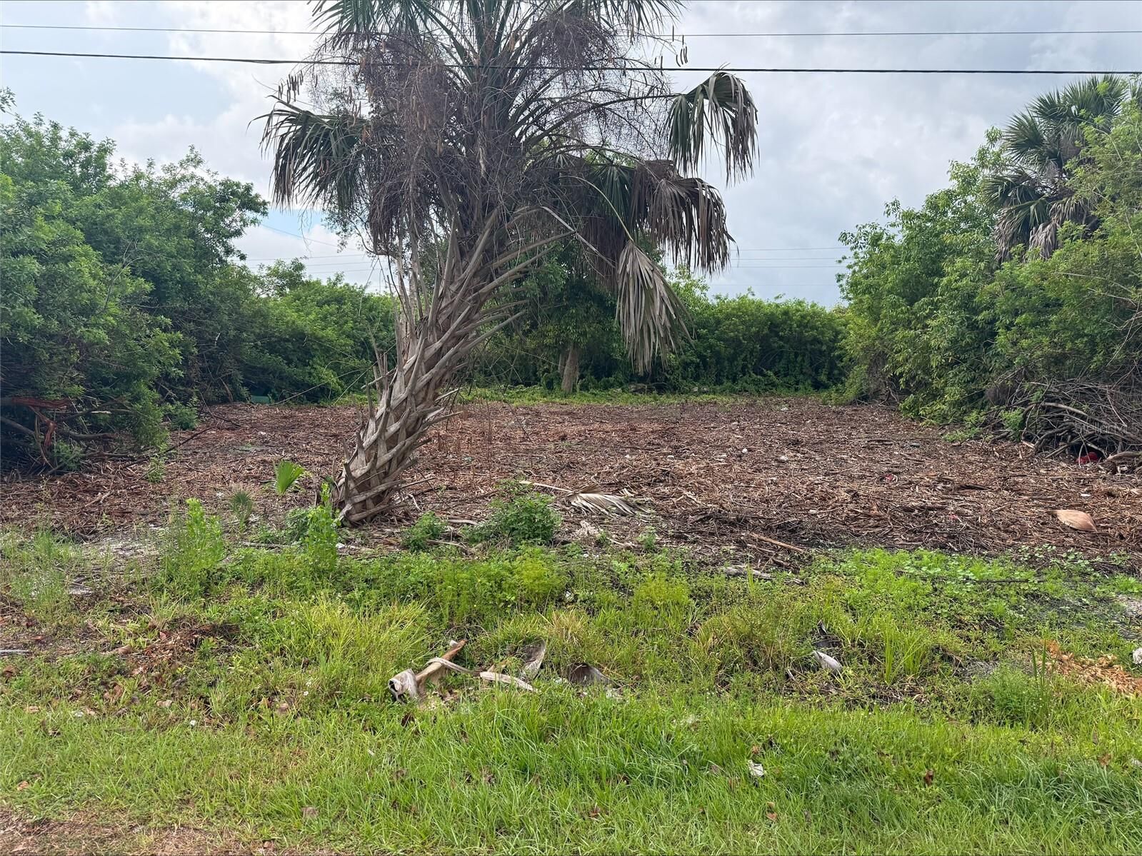 Property Photo:  861 Burland Street  FL 33950 