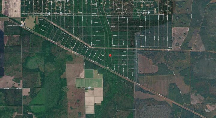 Property Photo: E Deep Creek Boulevard FL 32145
