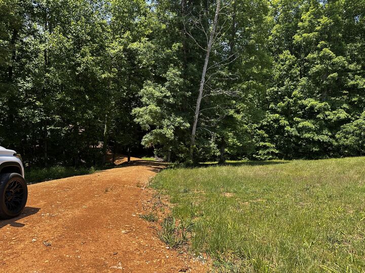 Property Photo:  0 Littrell Road  TN 38469 