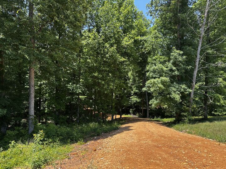 Property Photo:  0 Littrell Road  TN 38469 