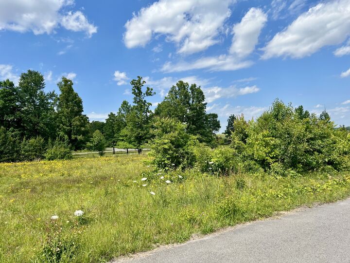 Property Photo:  0 Salem Lane  TN 38464 