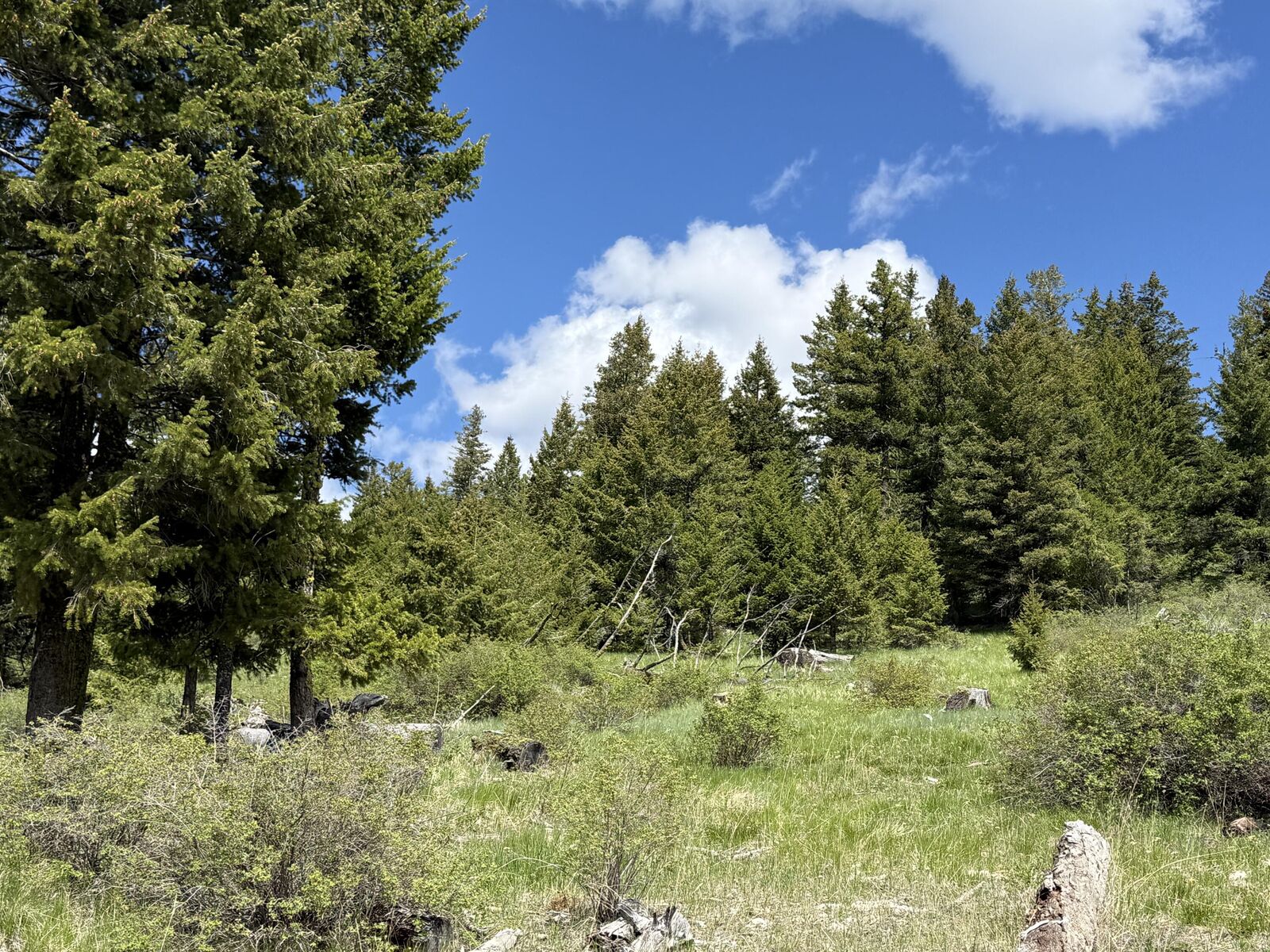 Property Photo: Tbd Toroda Creek Rd WA 98859