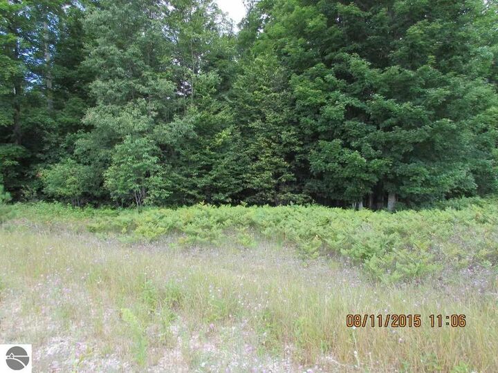 Property Photo:  455 Grouse Drive  MI 49646 