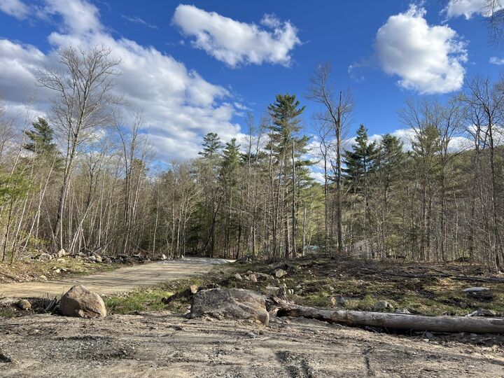 Property Photo:  244 Rowentown Road  NH 03282 