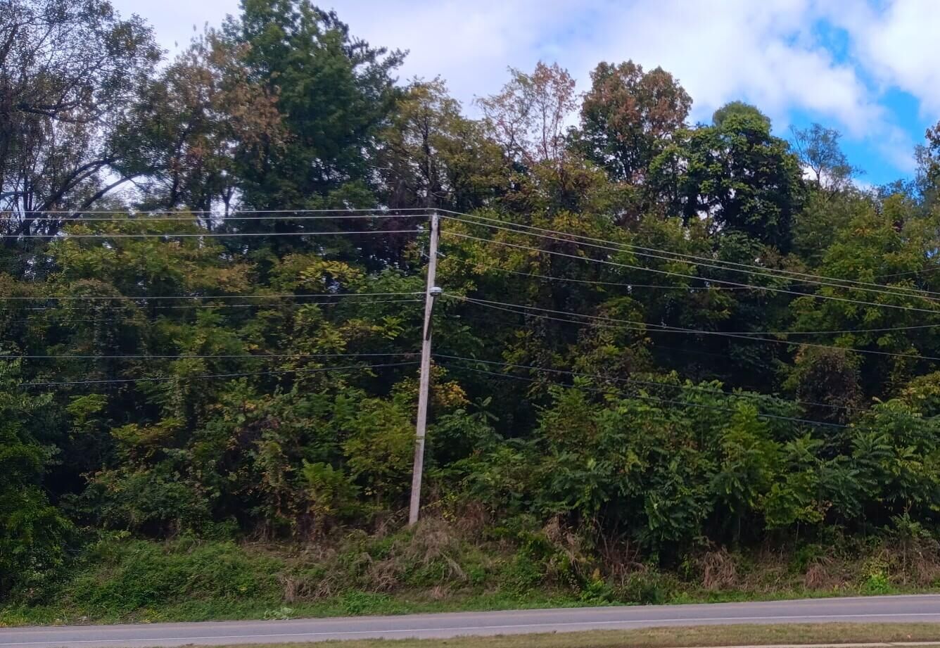 Property Photo: 0 Brandon Ave SW VA 24015