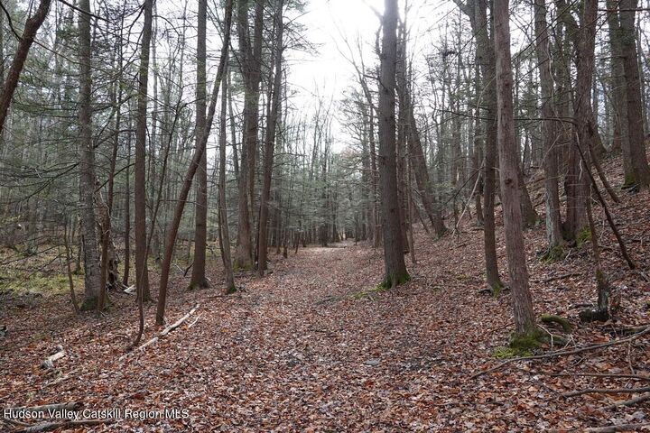 Property Photo:  738 Manorville  NY 12477 