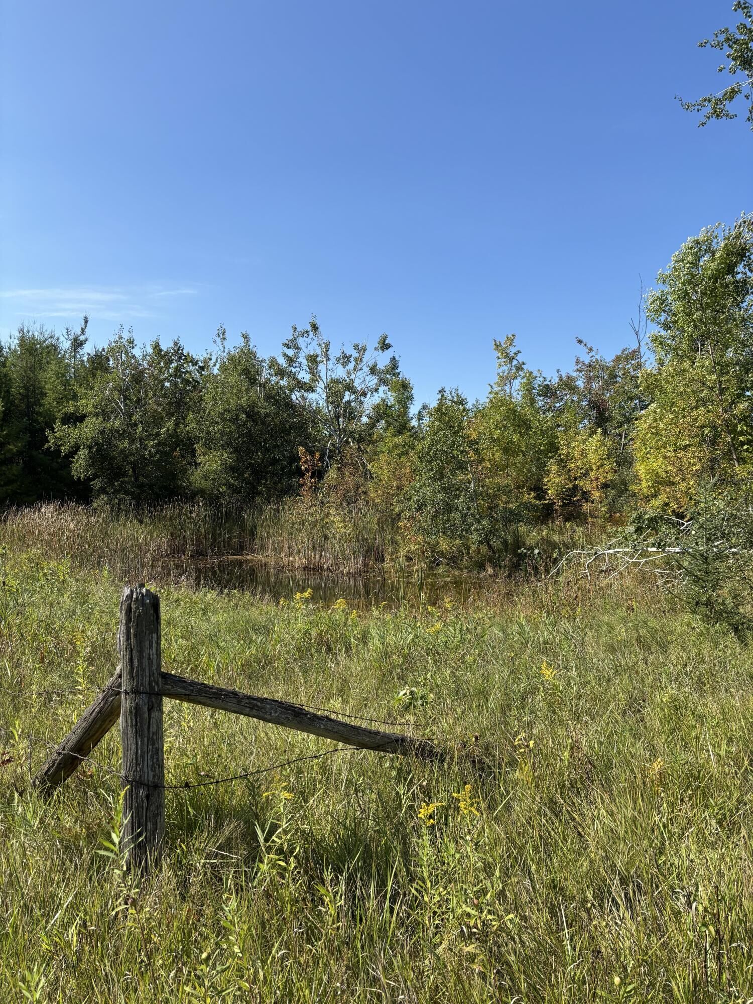 Property Photo:  68.21 Ac Salina Road  MI 49753 