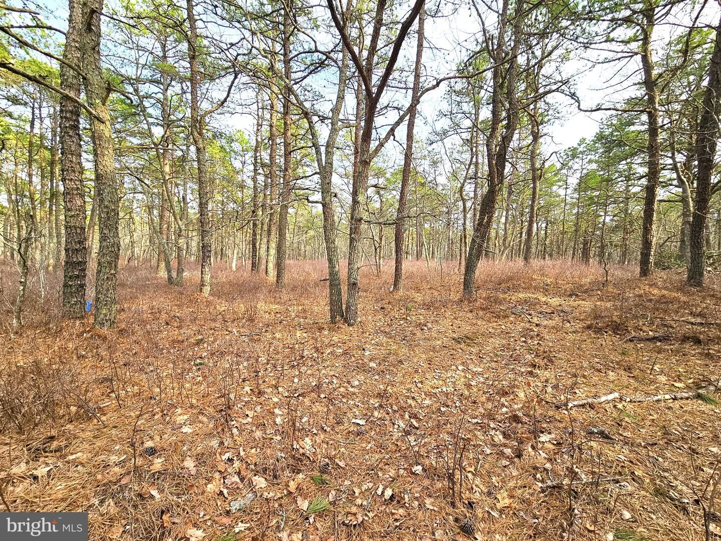 Property Photo:  17 Pinewood Drive  NJ 08087 