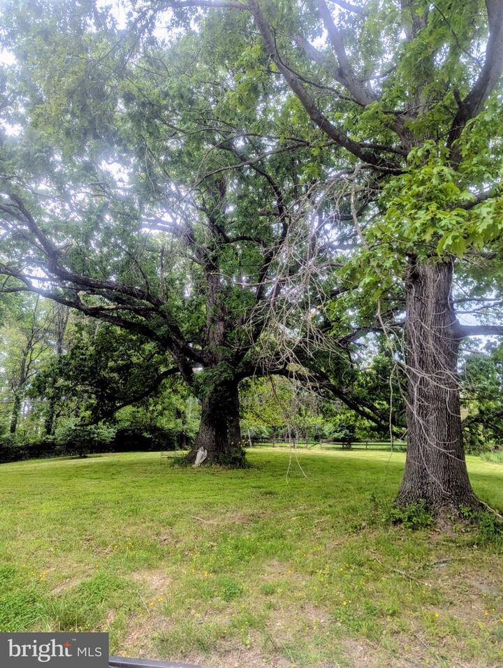 Property Photo:  19647 Telegraph Springs Road  VA 20132 