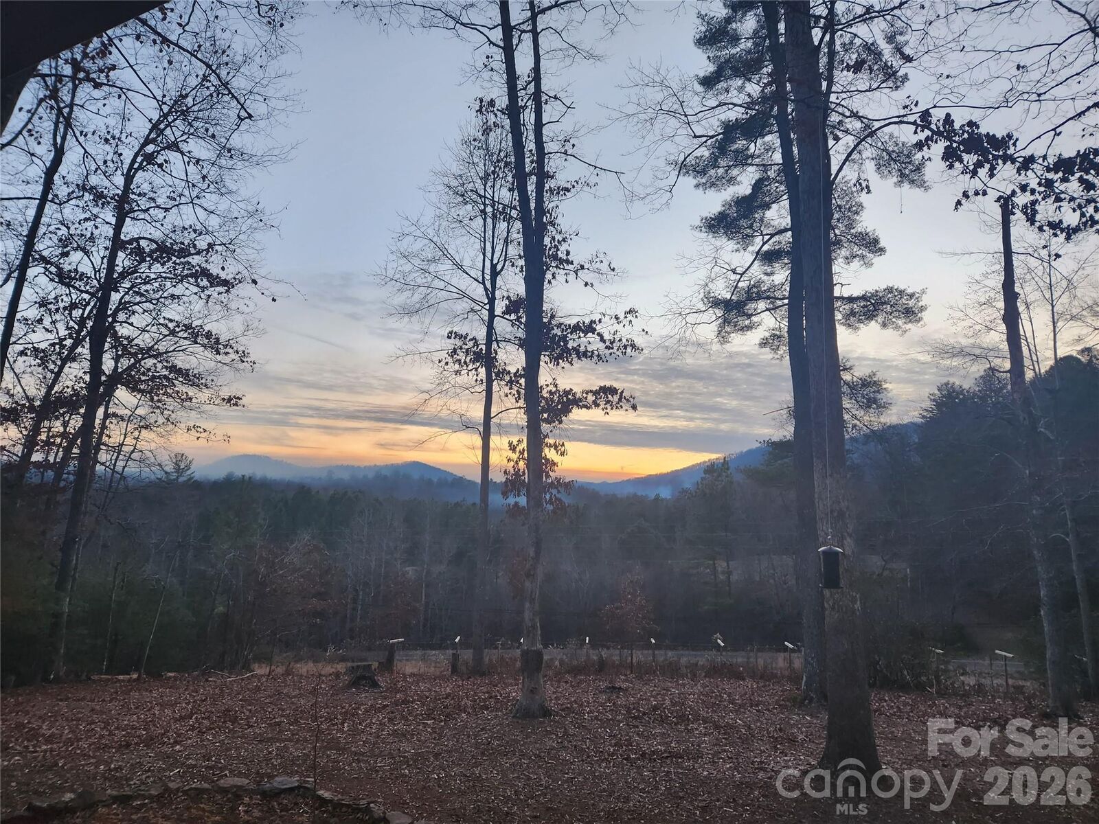 Property Photo:  670 Cedar Creek Road  NC 28746 