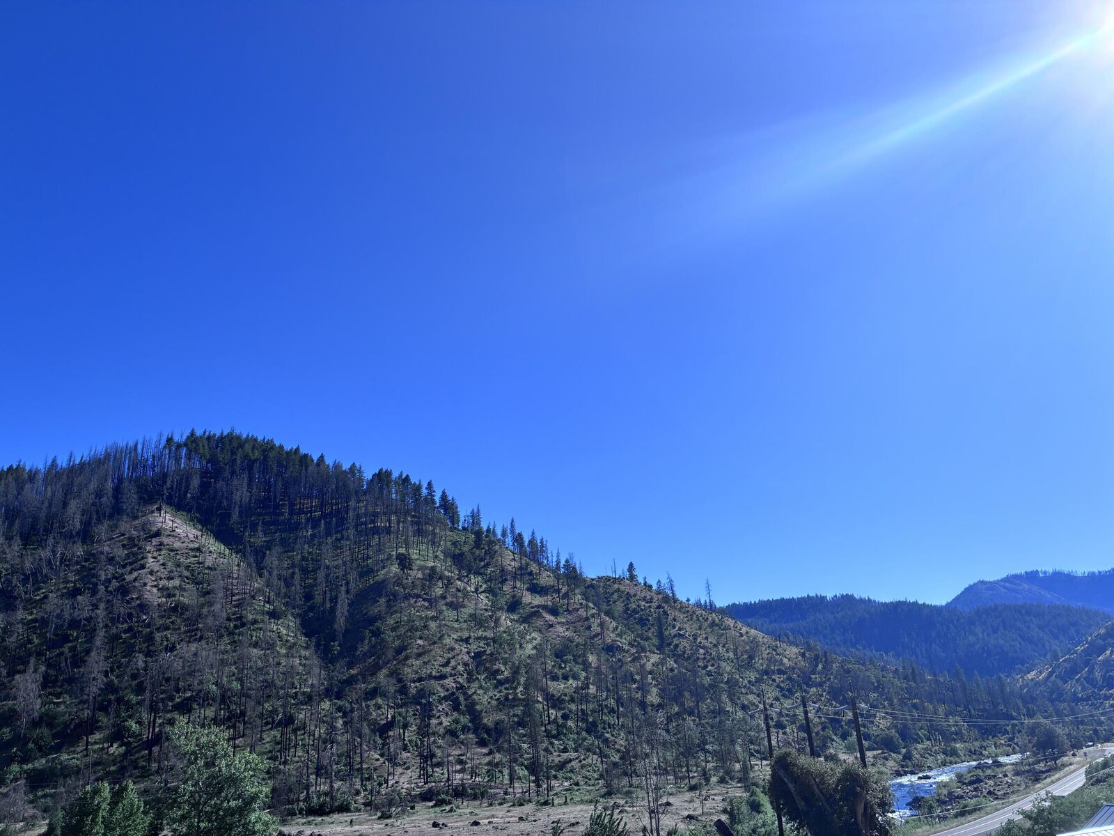 Property Photo:  31 Hart Lane  CA 96010 