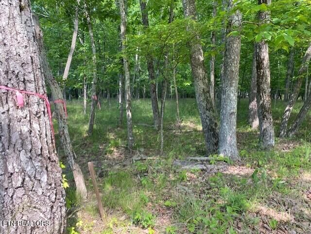 Property Photo:  11 Rolling Green Circle  TN 38558 