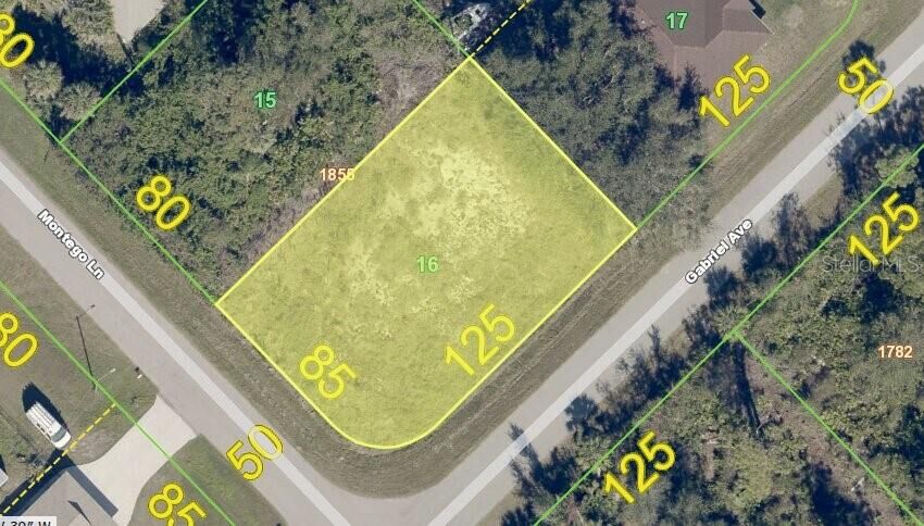 Property Photo:  12342 Gabriel Avenue  FL 33981 