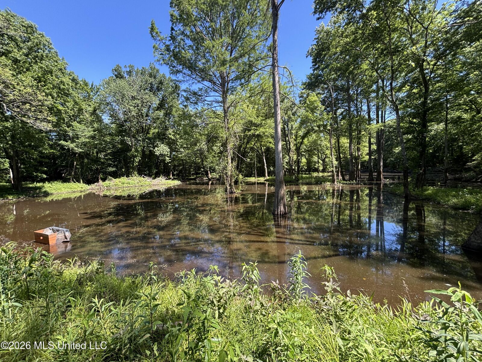 Property Photo:  00 County Road 3102  MS 39192 