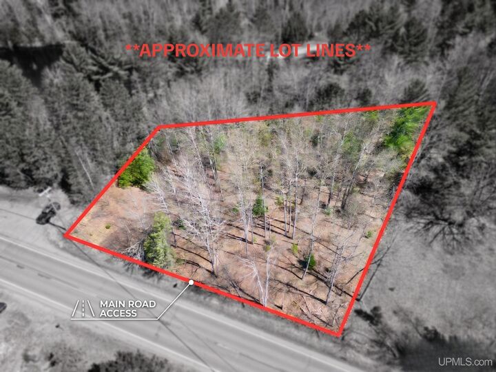 Property Photo: Tbd County Road 581 Road MI 49849
