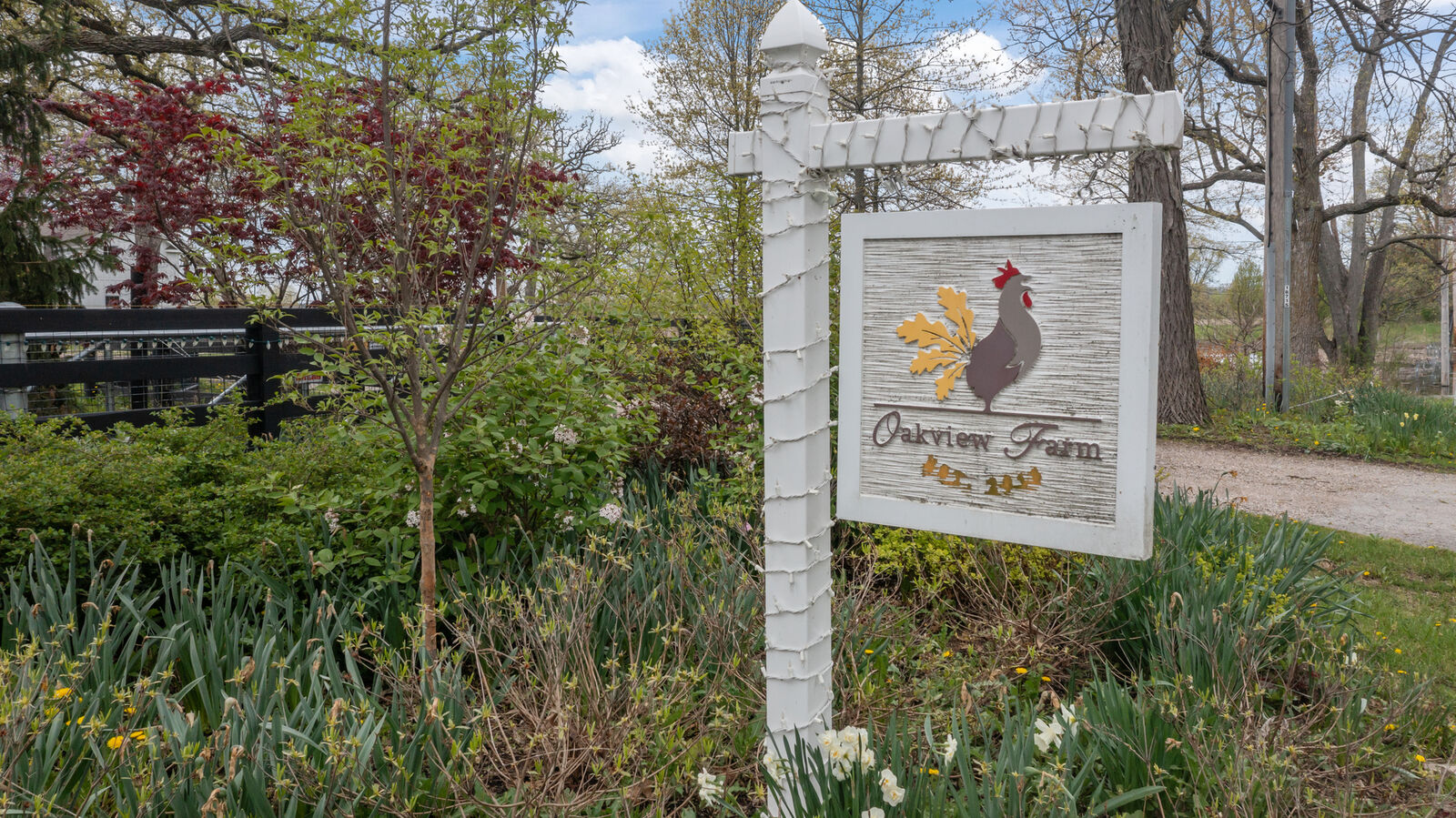 Property Photo:  