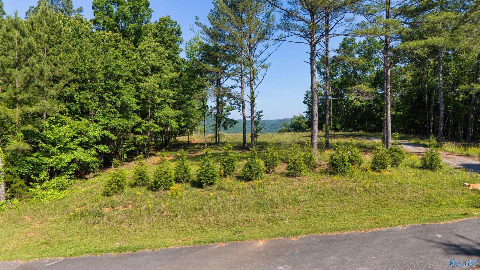 Property Photo:  1450 County Road 137  AL 35959 