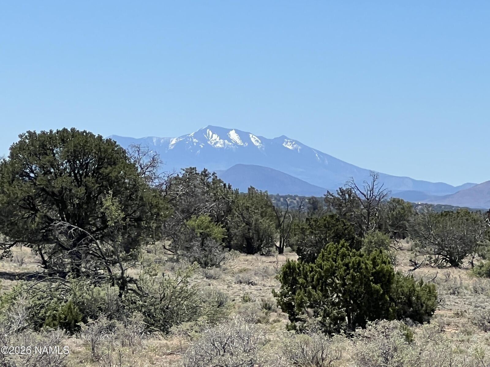 Property Photo:  3927 Mohave Lot B 12 Acres Trail  AZ 86046 
