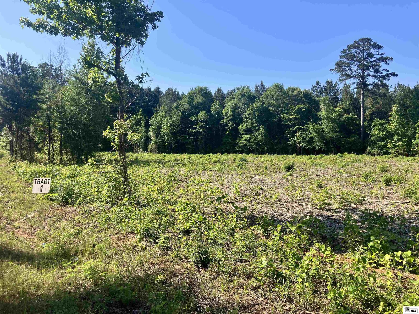 Property Photo:  9014 Lot 2 Highway 80  LA 71275 