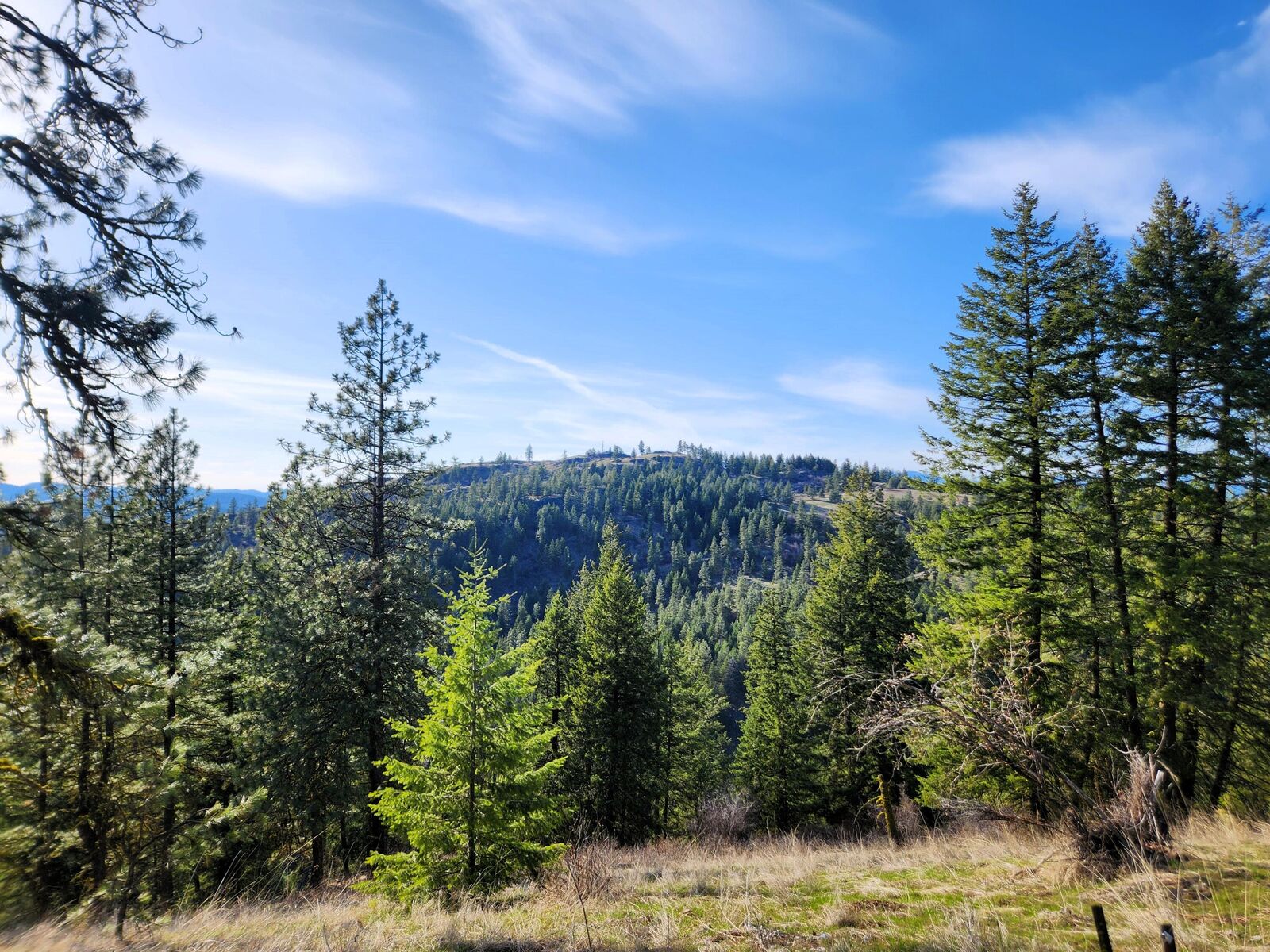 Property Photo:  4021 Bissell Rd  WA 99137 