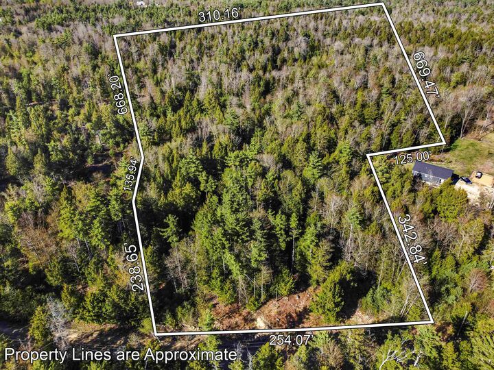 Property Photo:  1196 Province Road  NH 03218 