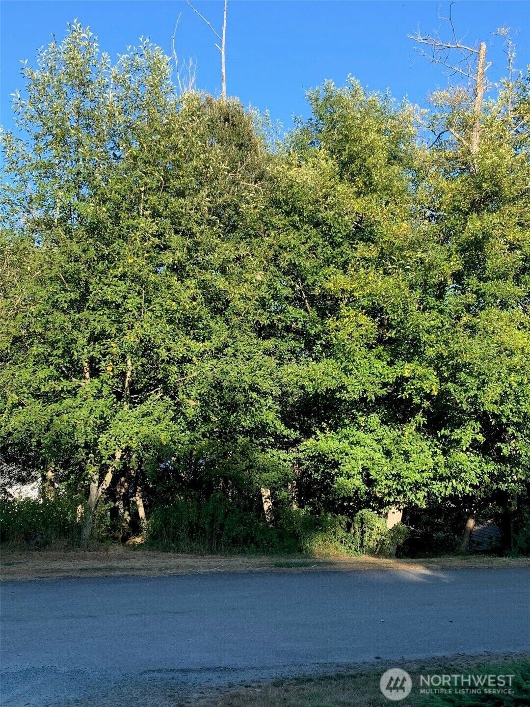 Property Photo:  0 Xxx  Brittany  WA 98249 