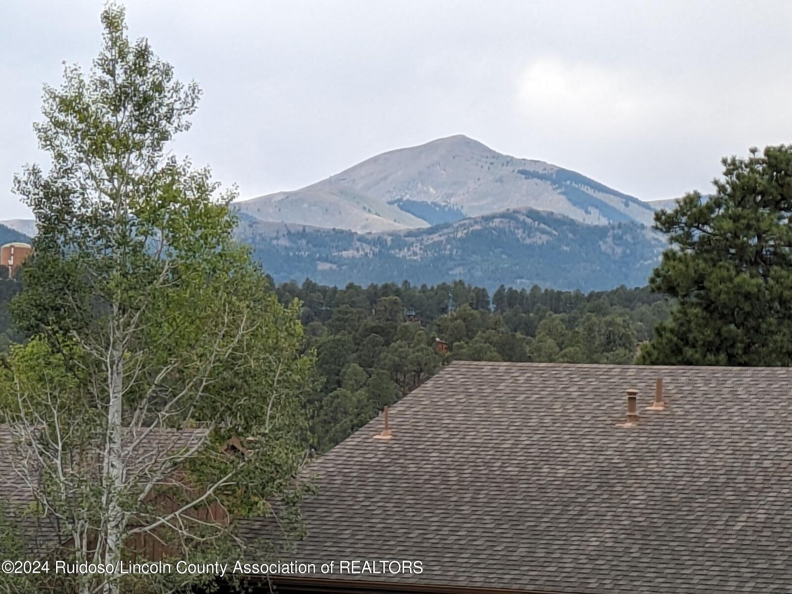 Property Photo:  205 Racquet Drive #4C  NM 88345 